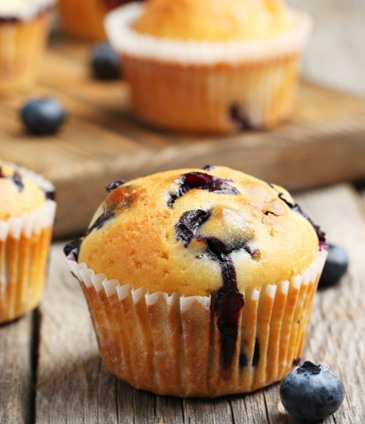 Blueberry Muffin